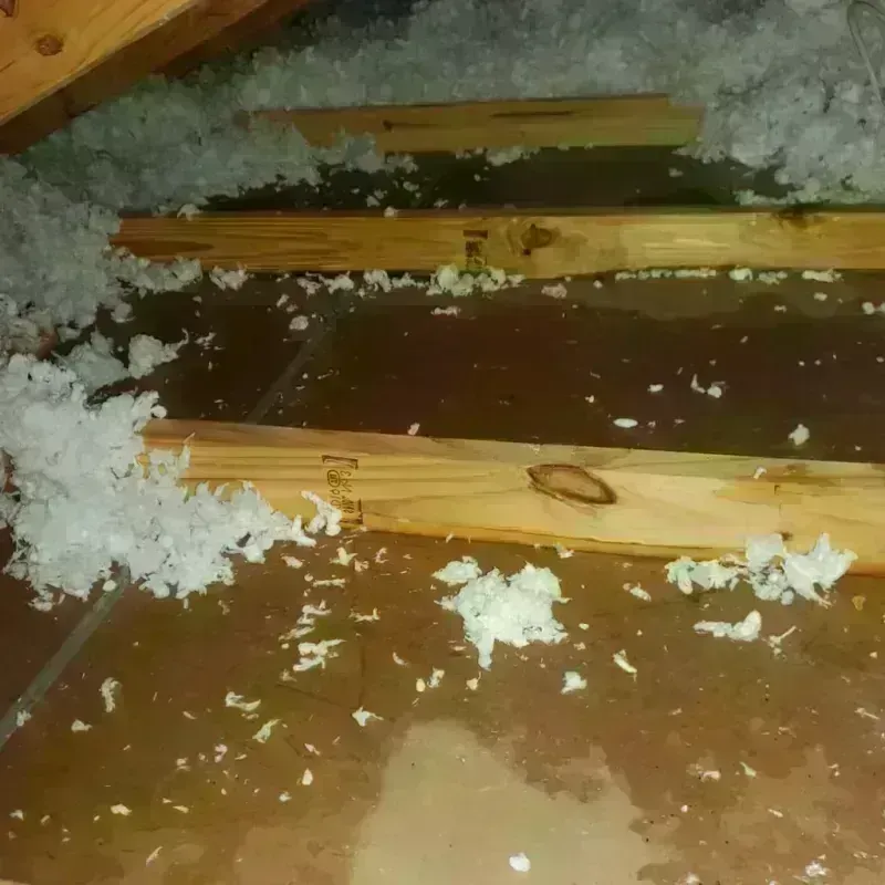 Attic Water Damage in Randleman, NC